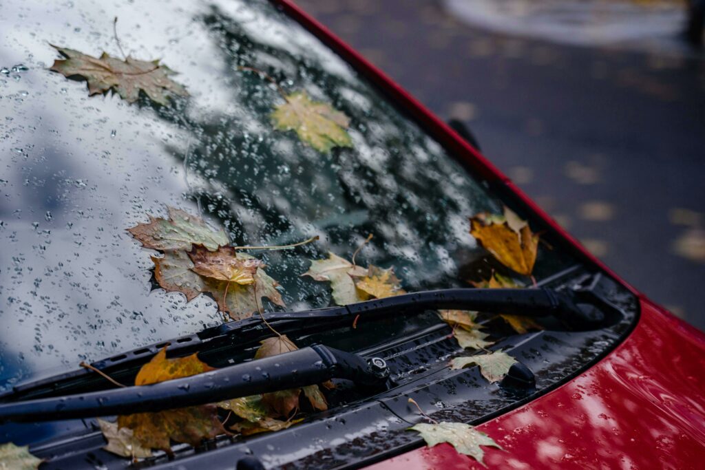 Differences-of-Wiper-Blades-Rubber-vs-Silicone-1024x683